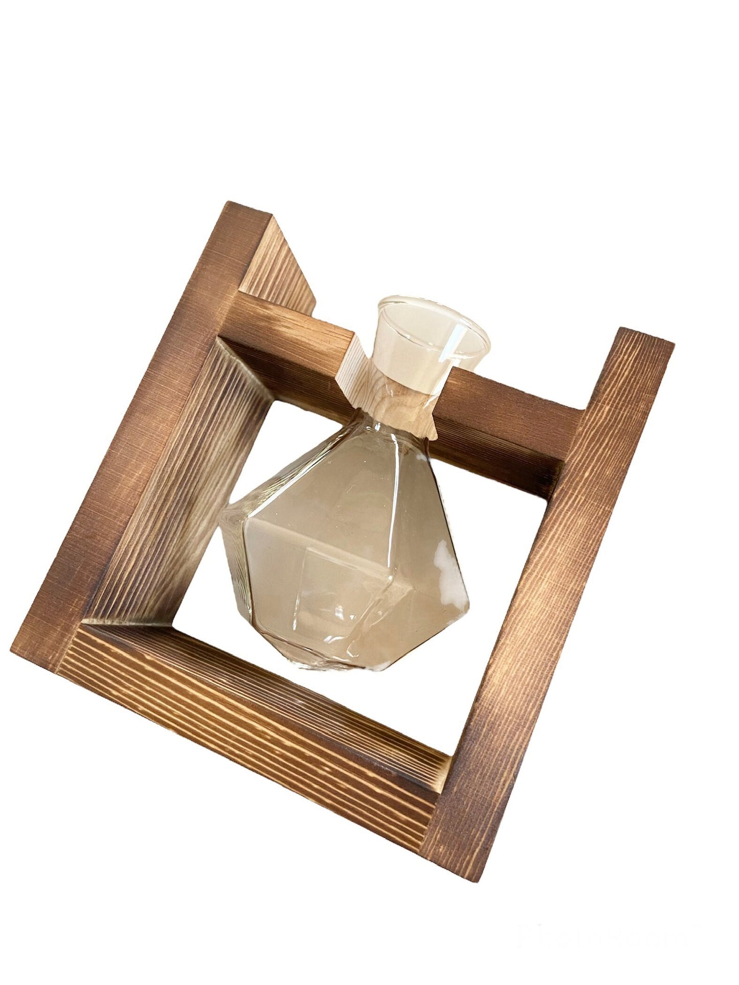 Wood and Glass Houseplant Propagation Station