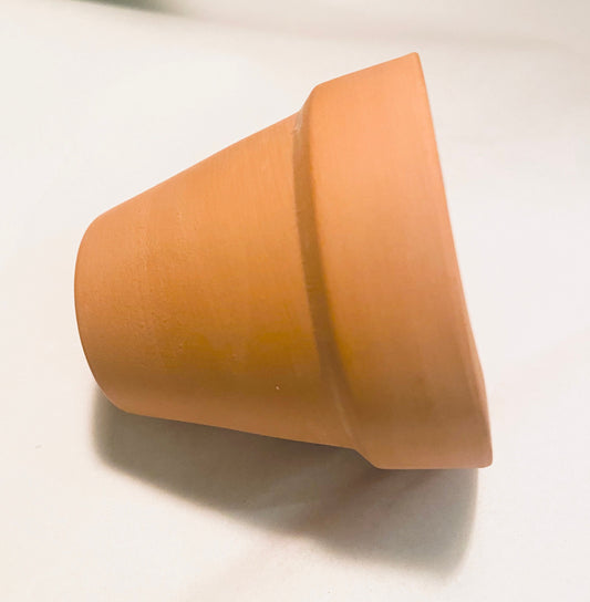 Terracotta Pot Mini Planter