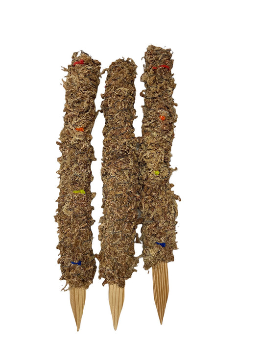 Large Indoor Houseplant Sphagnum Moss Pole