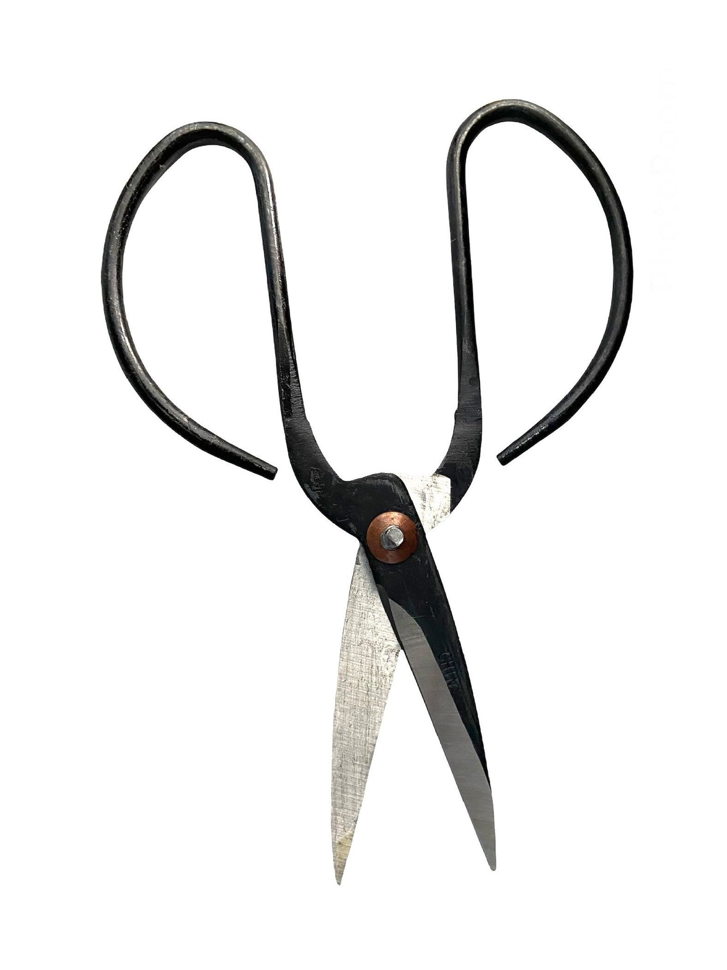 Indoor Plant Propagation Scissors