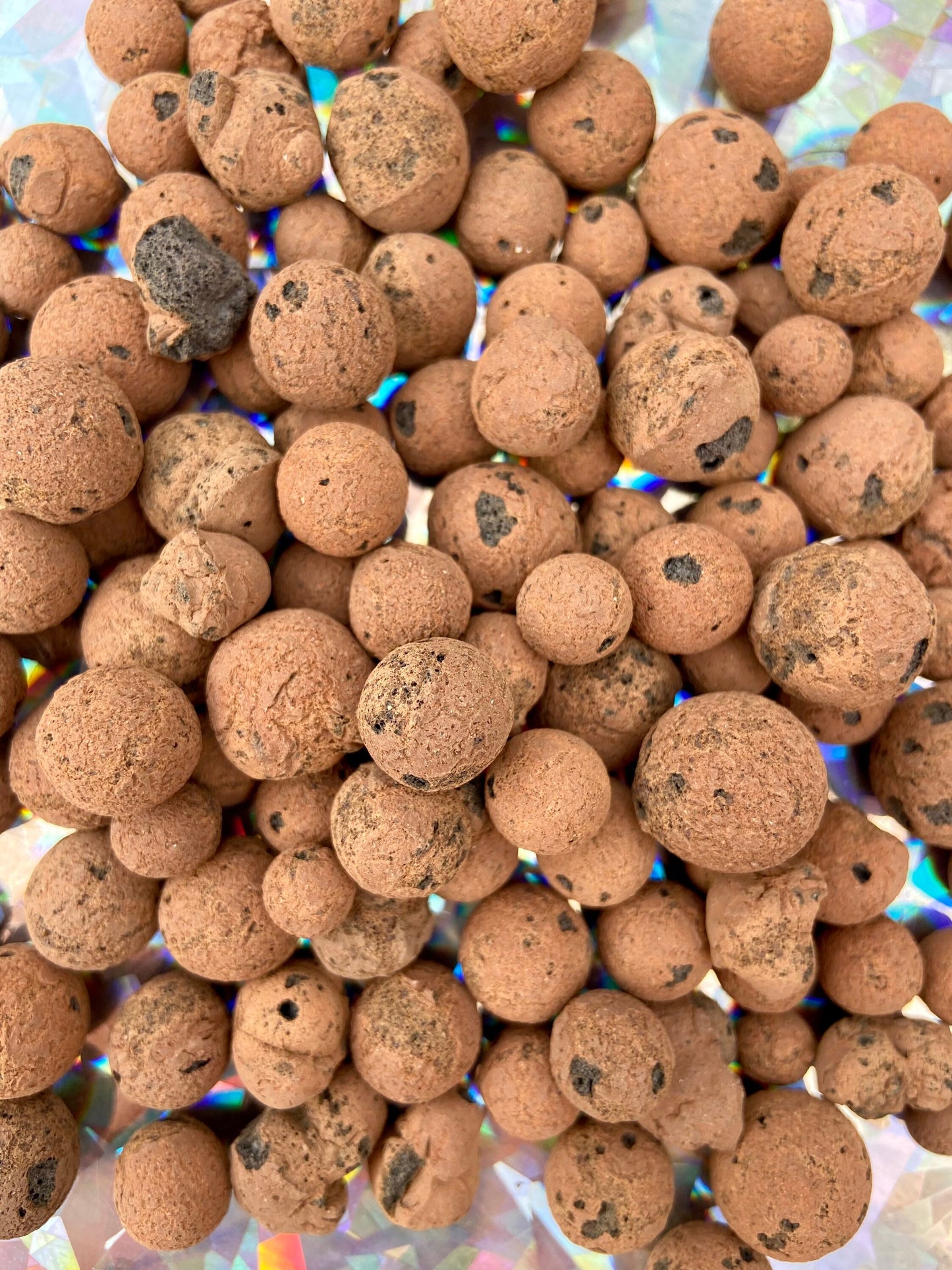 Leca Clay Balls, Live Indoor Houseplant, Plant Growing Media