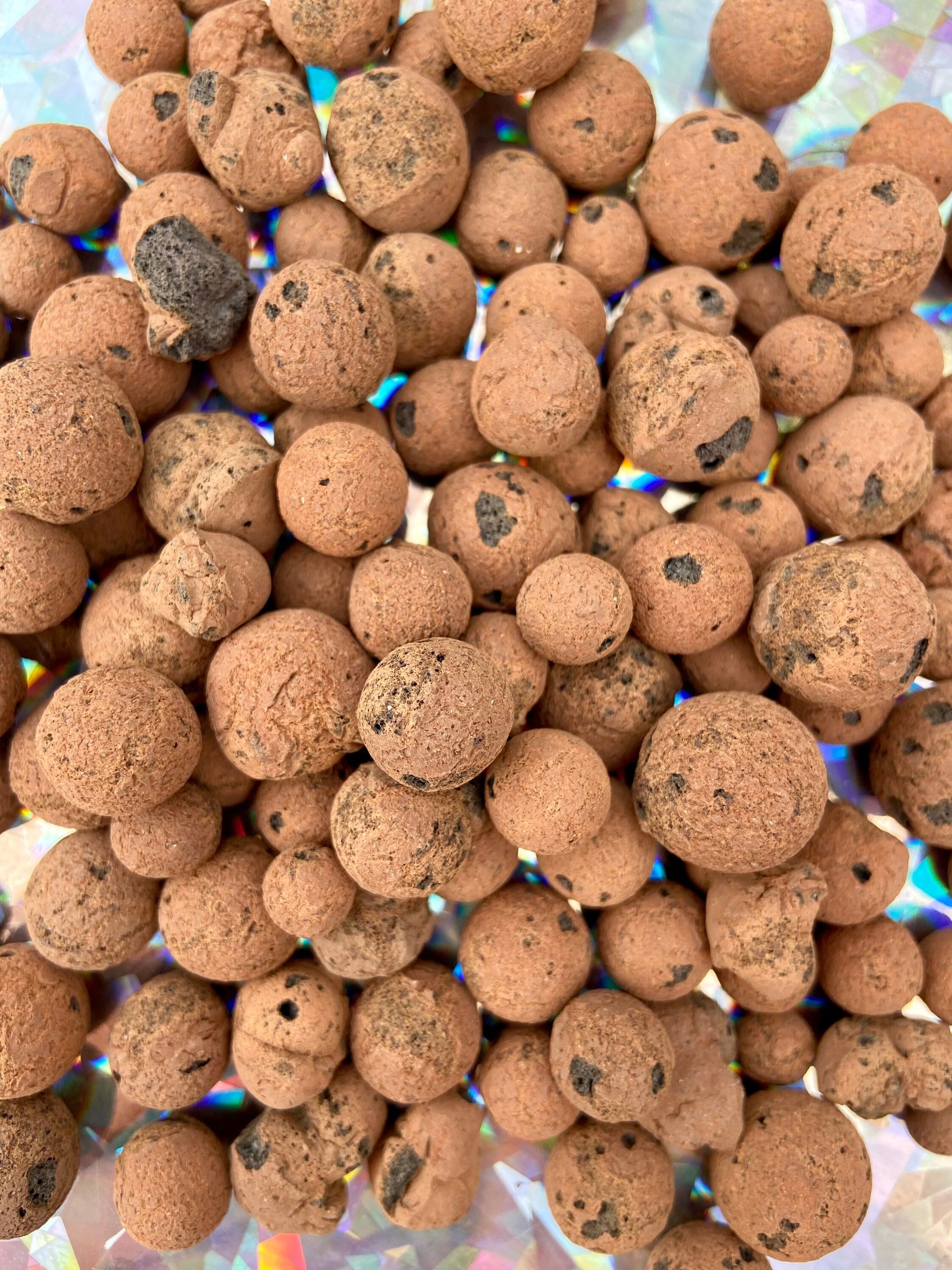 Leca Clay Balls, Live Indoor Houseplant, Plant Growing Media