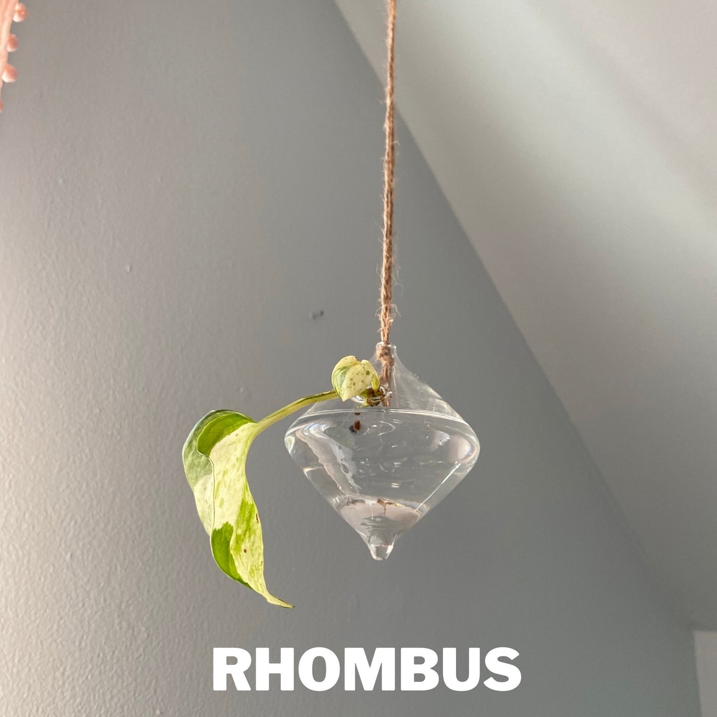 Clear Glass Propagation Plant Hanging Terrarium