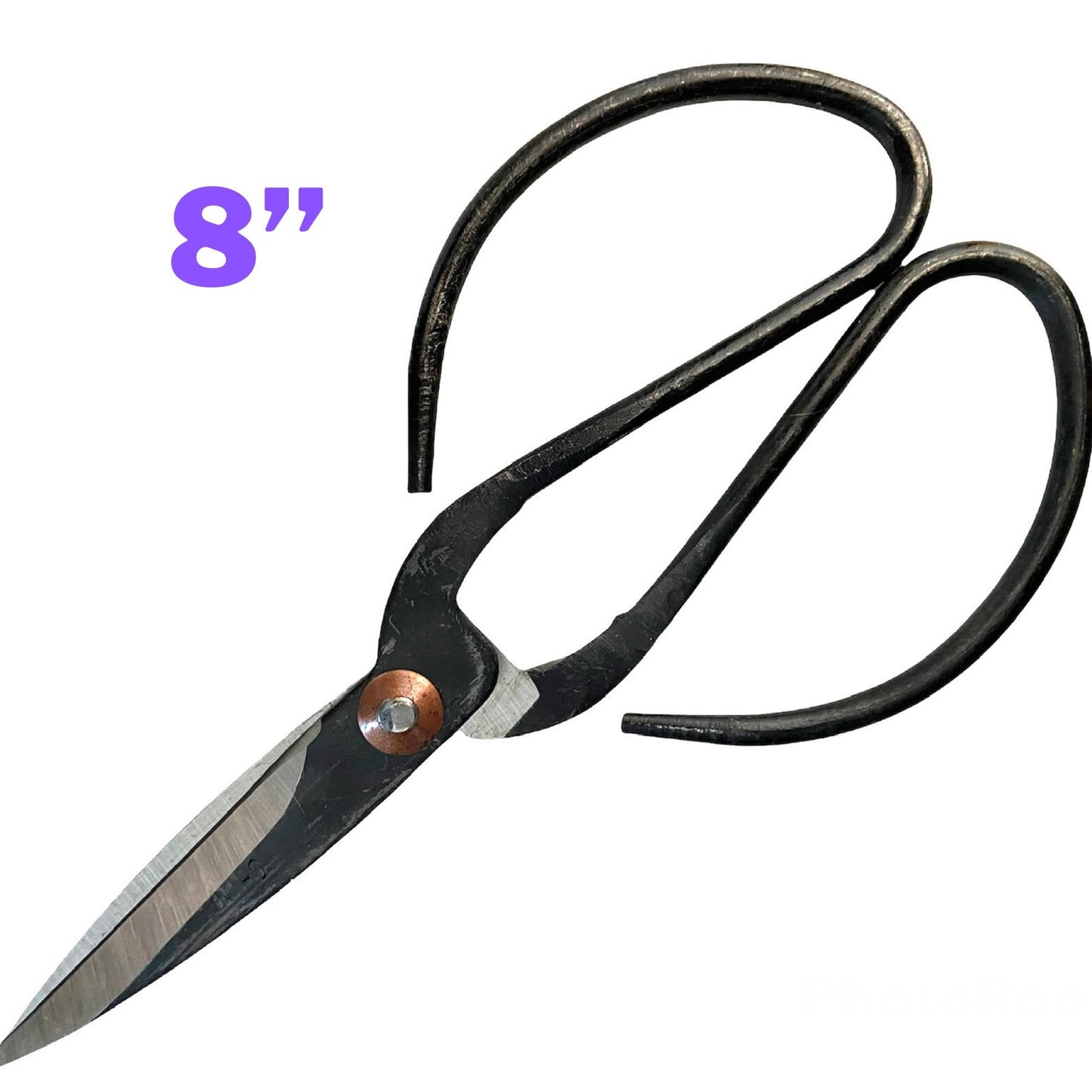 Indoor Plant Propagation Scissors