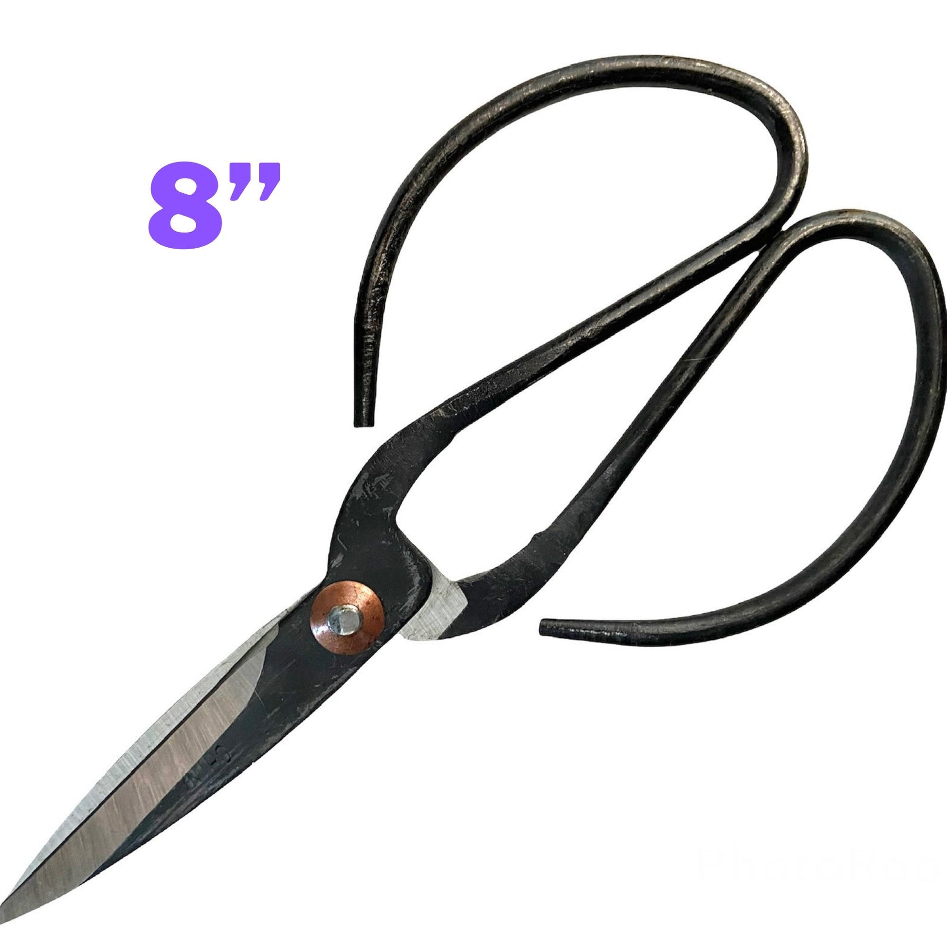 Indoor Plant Propagation Scissors