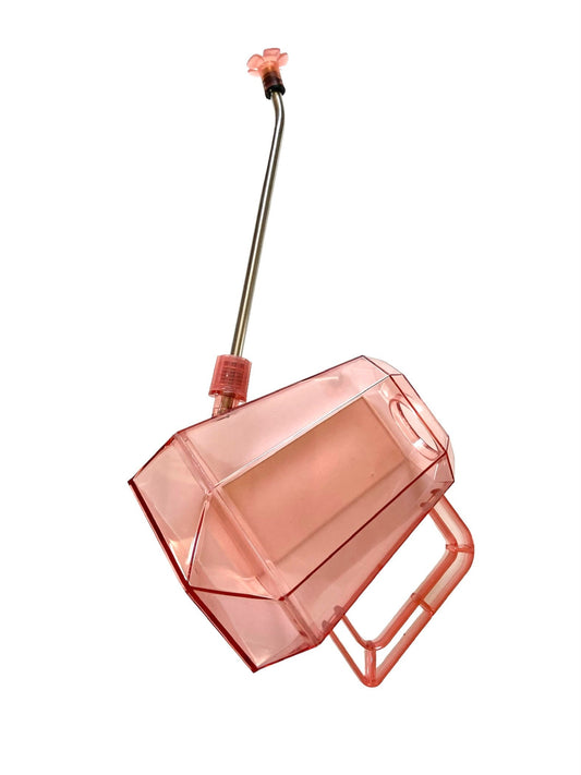 Long Neck Prism Shaped Houseplant Watering Can