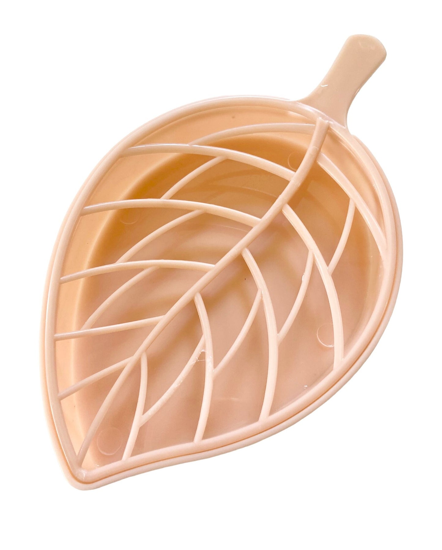 2-piece Houseplant Leaf Plastic Soap Dish