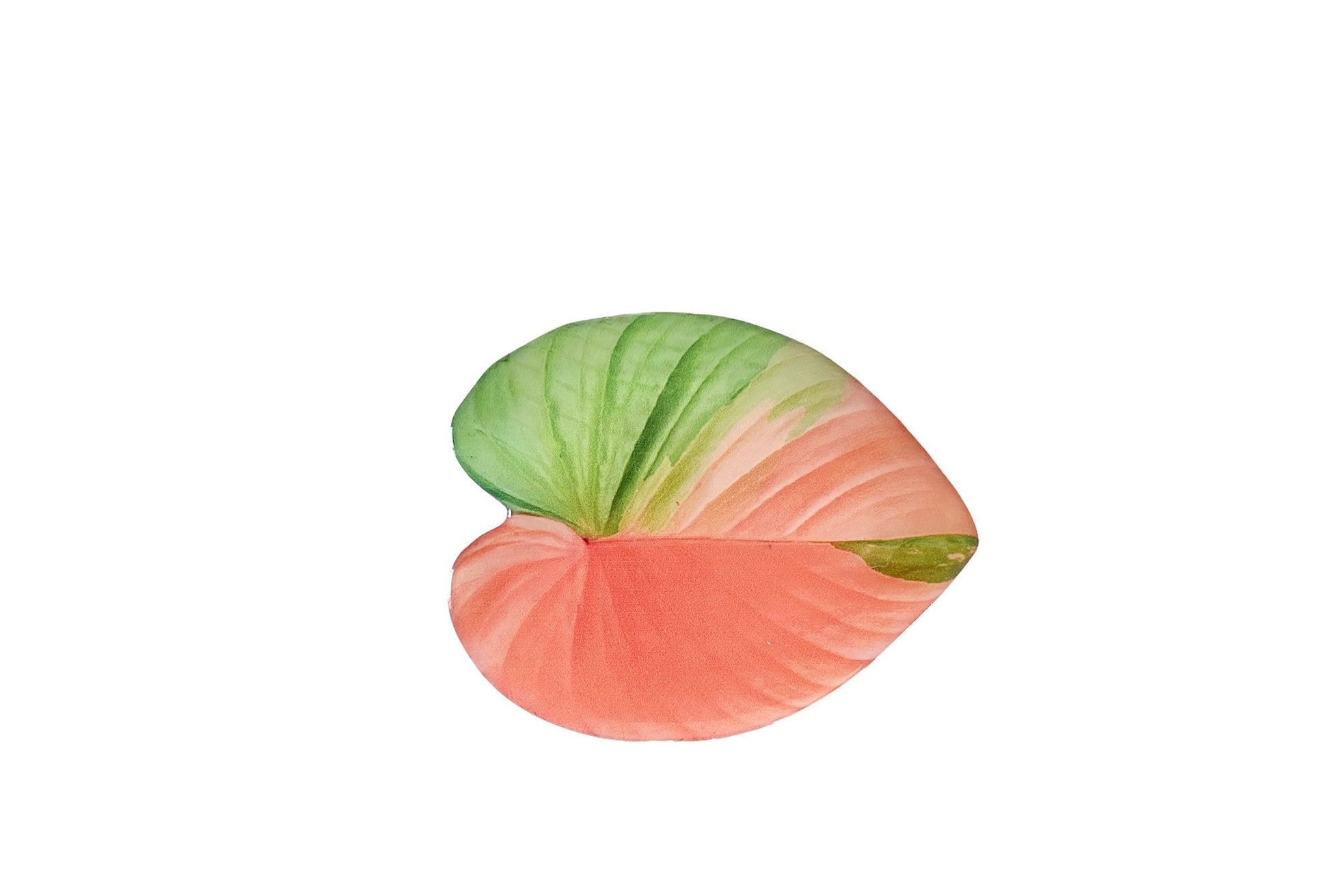 Houseplant Leaf Phone Case Grip Holder