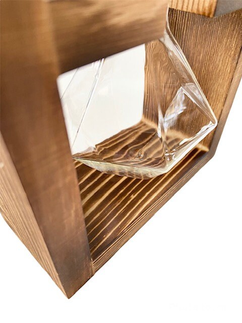 Wood and Glass Houseplant Propagation Station