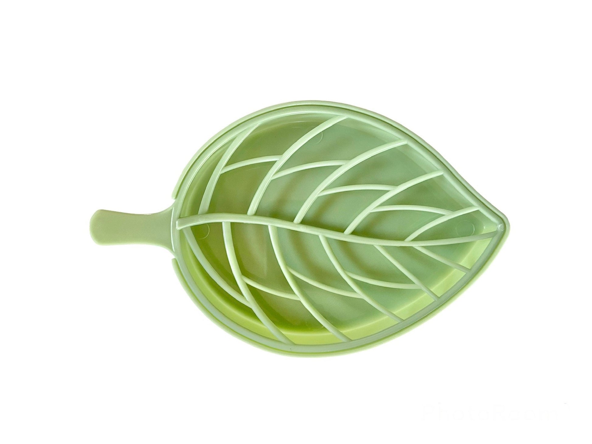 2-piece Houseplant Leaf Plastic Soap Dish