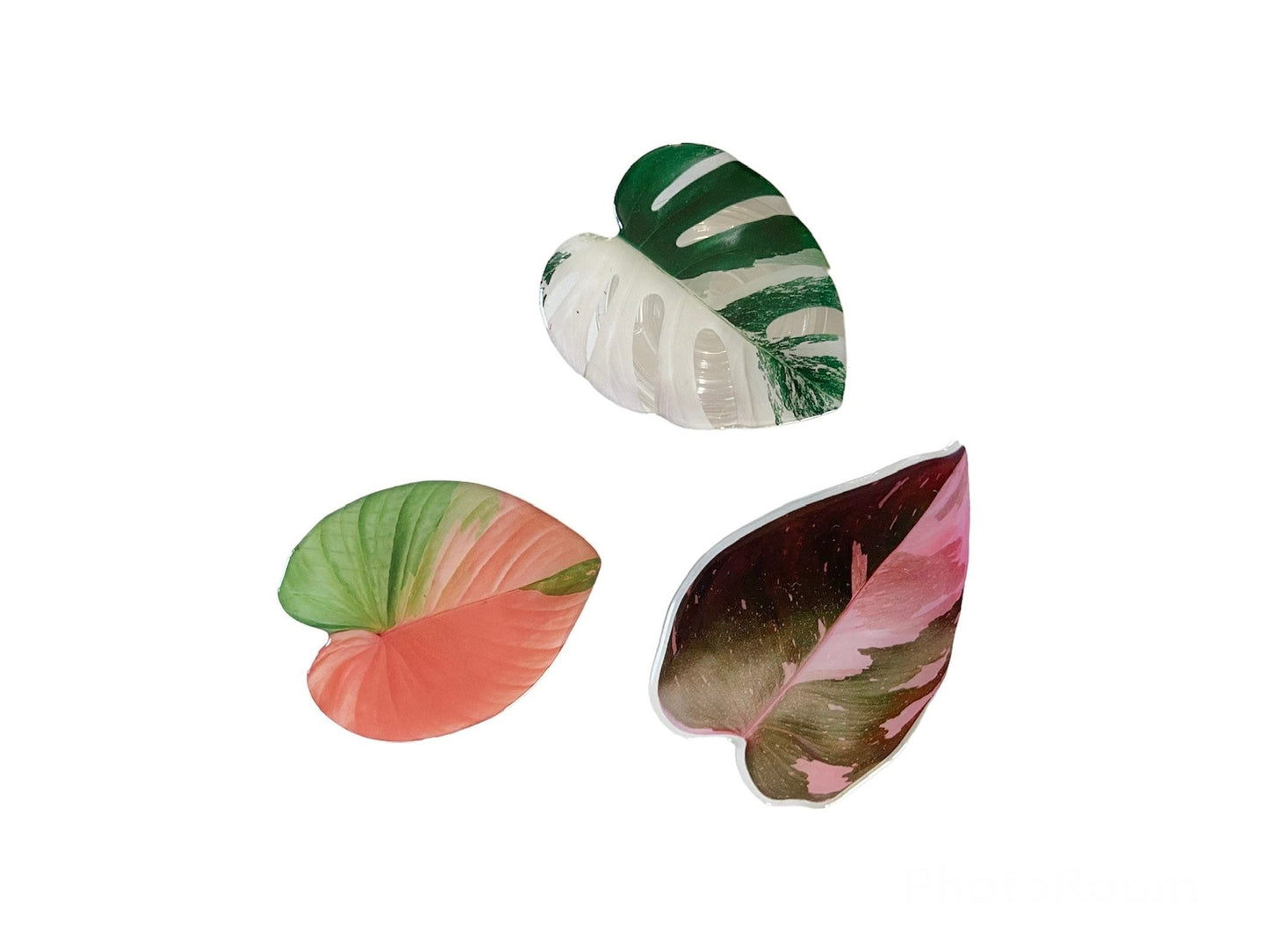 Houseplant Leaf Phone Case Grip Holder