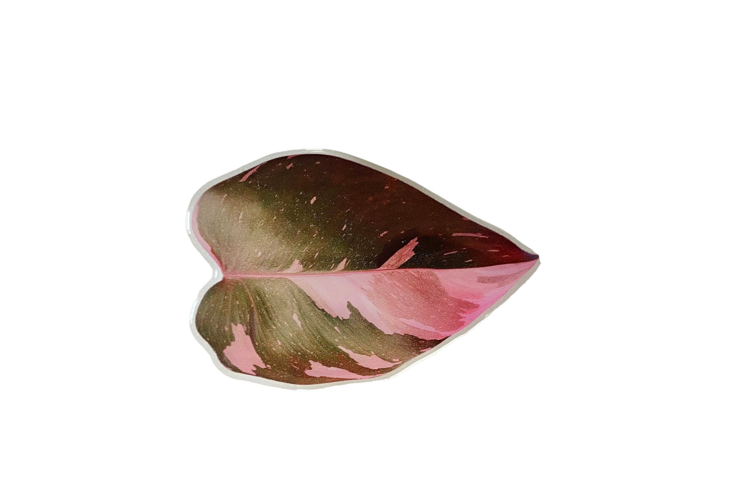 Houseplant Leaf Phone Case Grip Holder