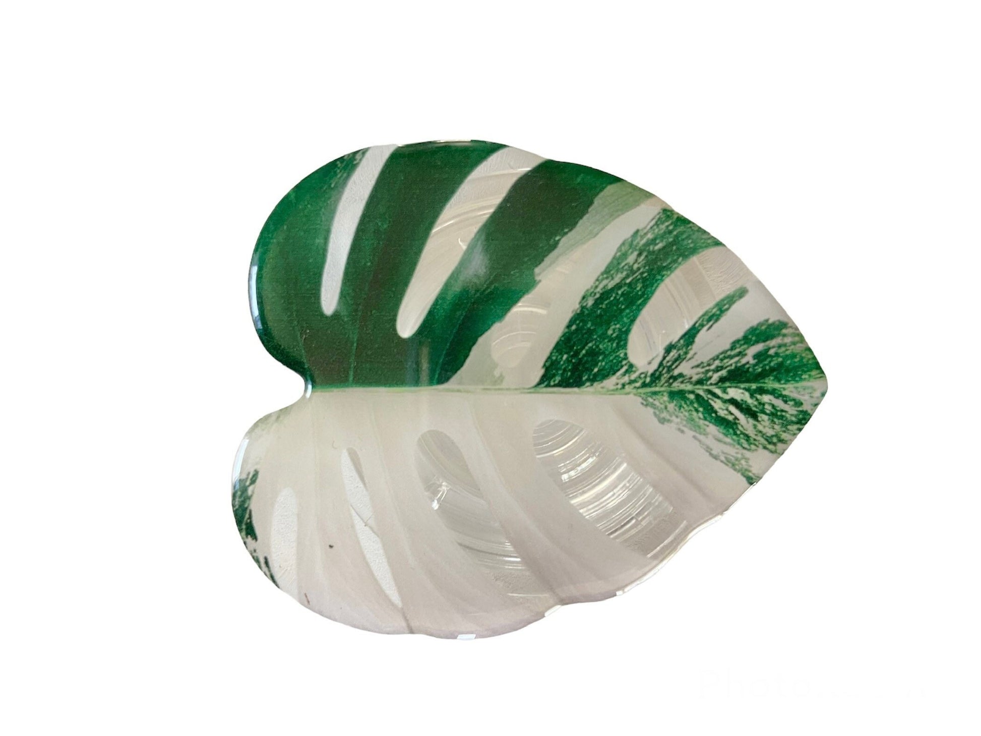 Houseplant Leaf Phone Case Grip Holder