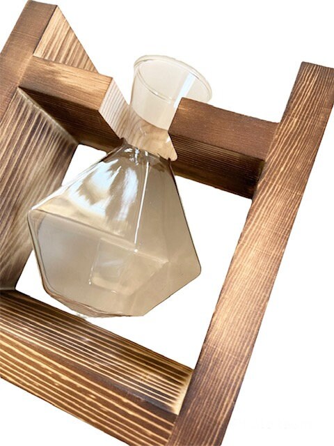 Wood and Glass Houseplant Propagation Station
