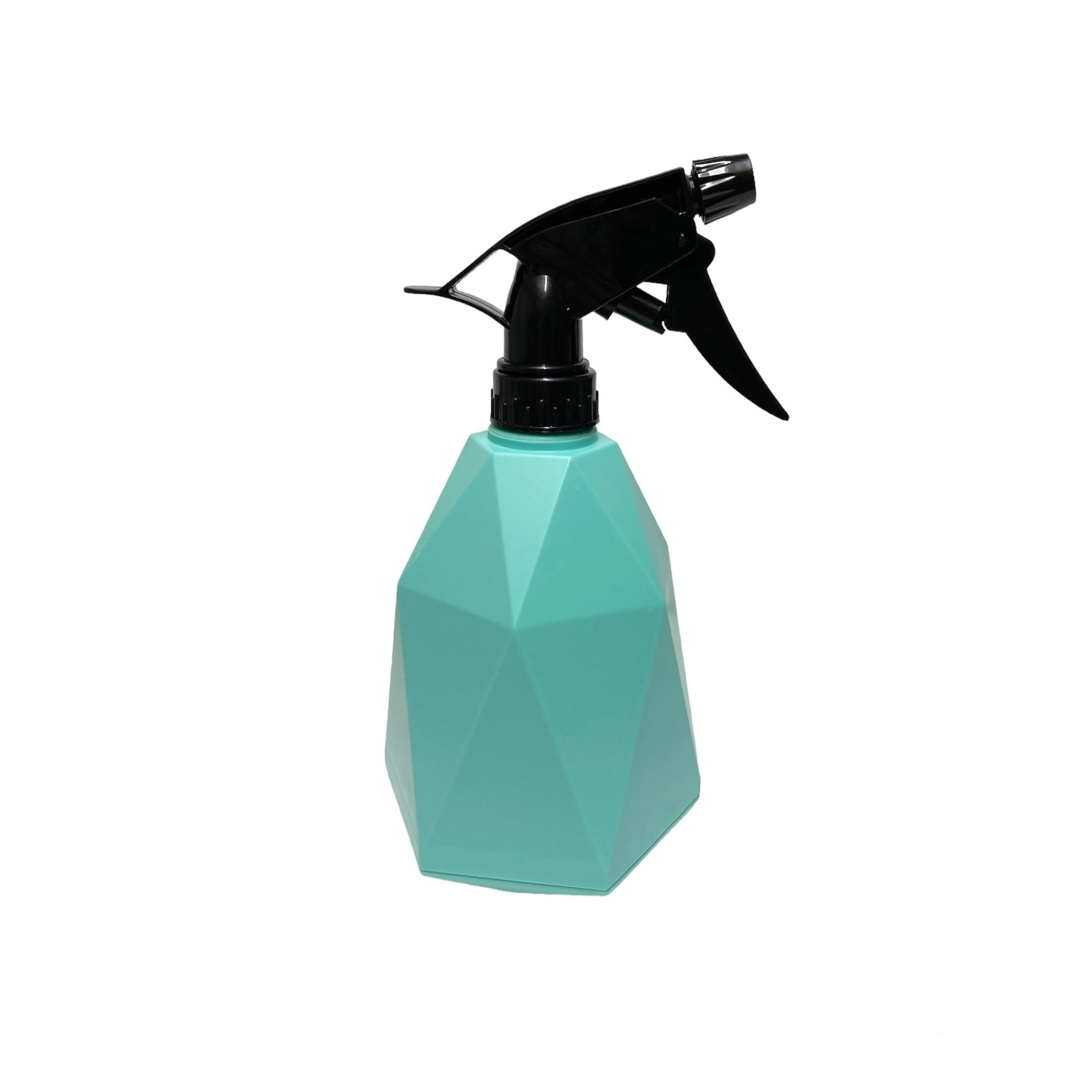 Geometric Houseplant Fine Mist Spritz Spray Bottle