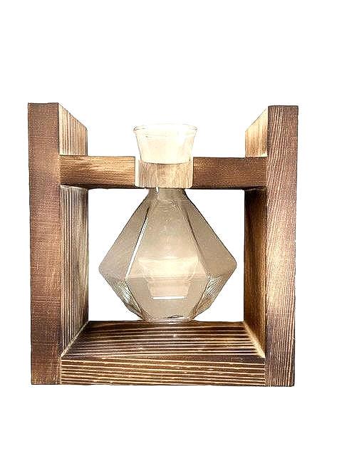 Wood and Glass Houseplant Propagation Station