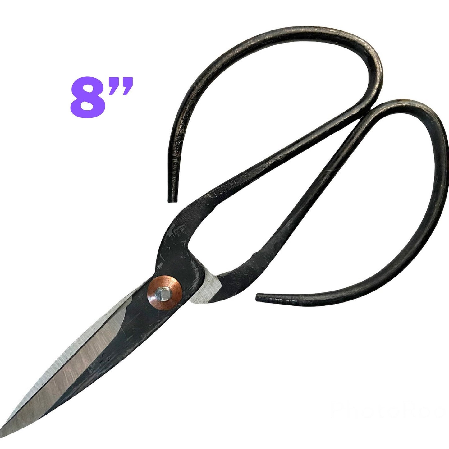 Indoor Plant Propagation Scissors