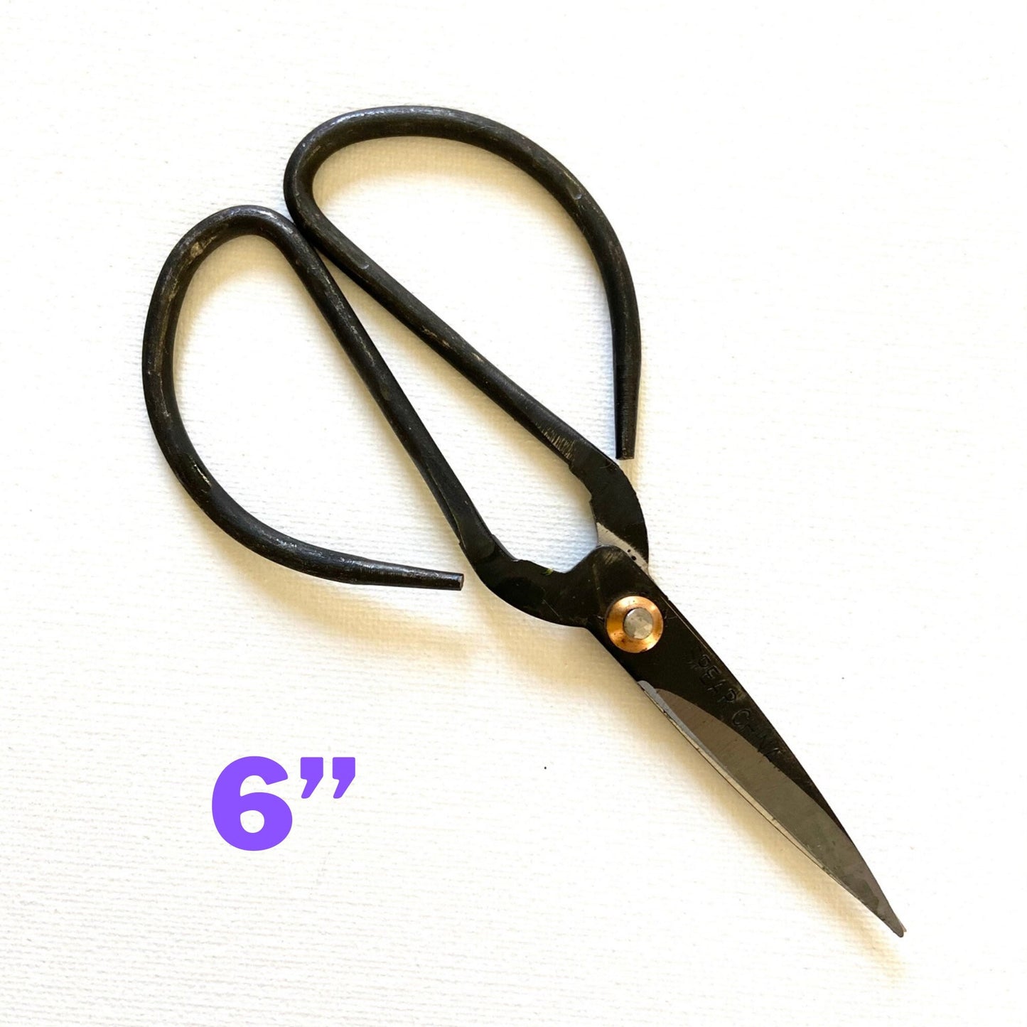 Indoor Plant Propagation Scissors