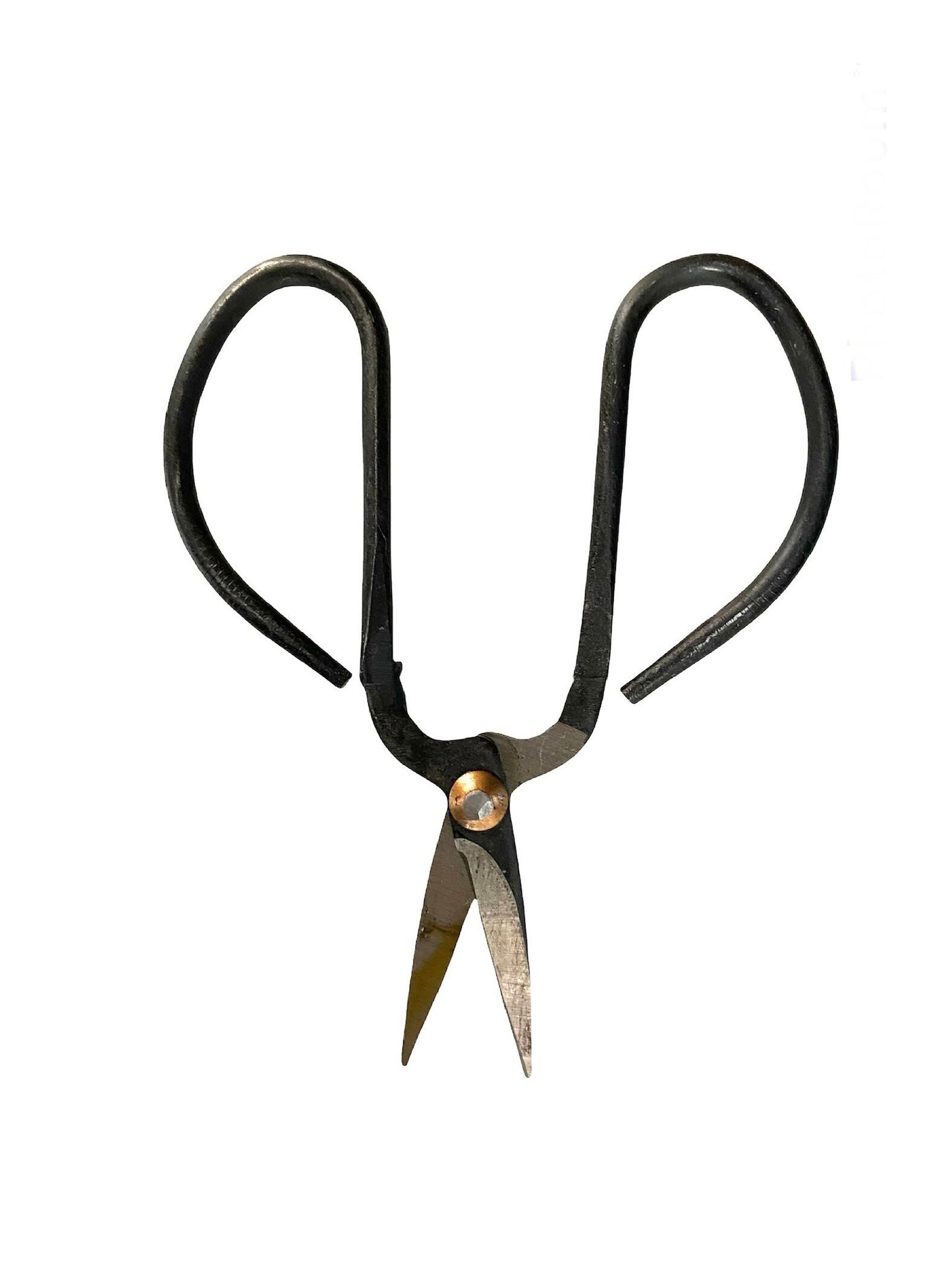 Indoor Plant Propagation Scissors